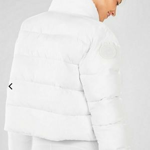 White winter Puffer